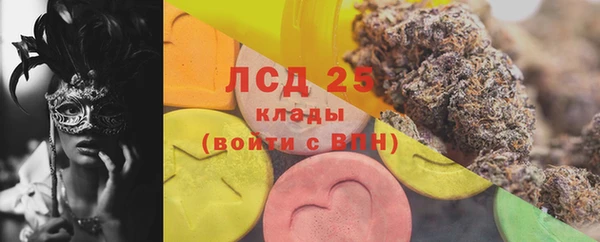 дурь Карпинск