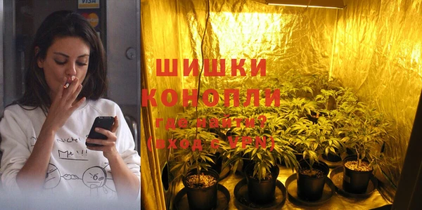 дурь Карпинск
