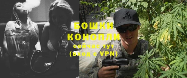 дурь Карпинск