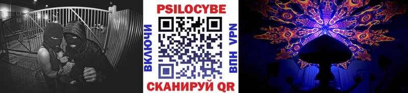 Псилоцибиновые грибы Psilocybine cubensis  Купить где  Куртамыш 